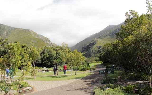 The Harold Porter Botanical Gardens are world famous and offer an unsurpassed display of fynbos plants